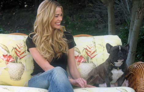 denise richards denise richards