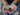katt yukawa KEEaRA unsplash
