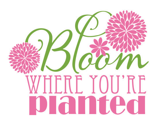 Bloom Where You Are Planted