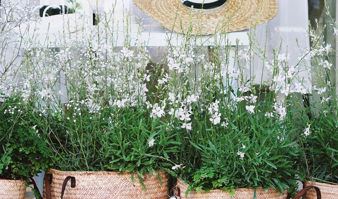 toa heftiba tuIedADlL Q unsplash