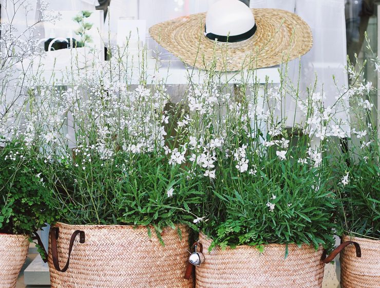 toa heftiba tuIedADlL Q unsplash