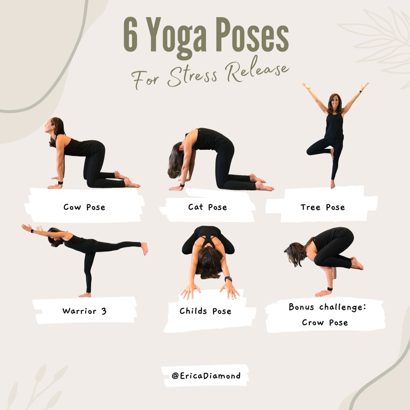 6 Yoga Poses for Stress Release Erica Diamond