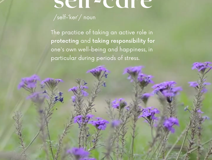 Word Definition Motivational Instagram Post Quote Instagram Story Instagram Post Square