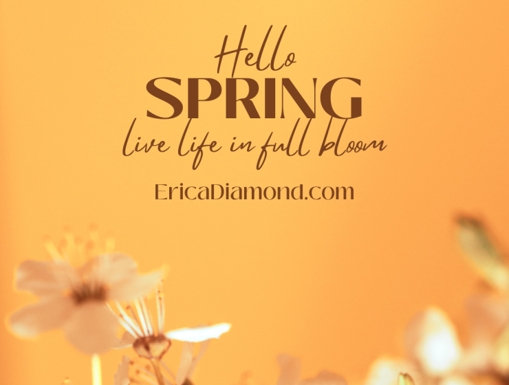 Spring (Instagram Post)