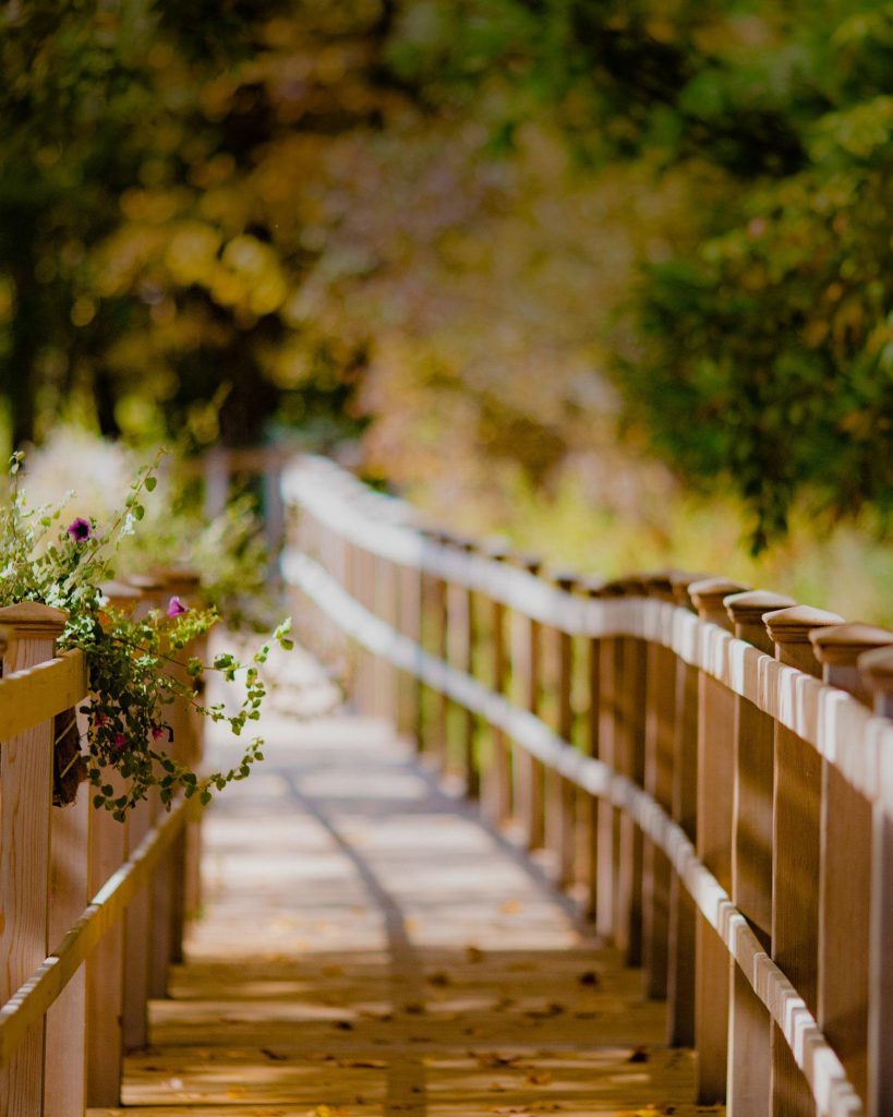 wooden path fall setting canyon ranch lenox x v