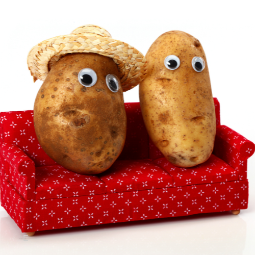 couch potato